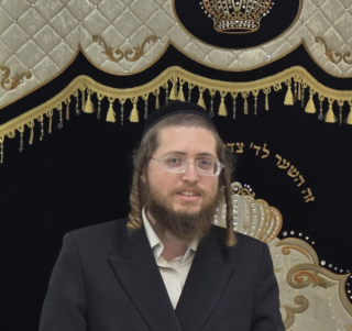 הרב דוד וסרמן
