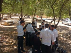 בעקבות הסנהדרין